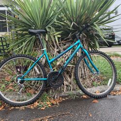 Road Master Bicycle 