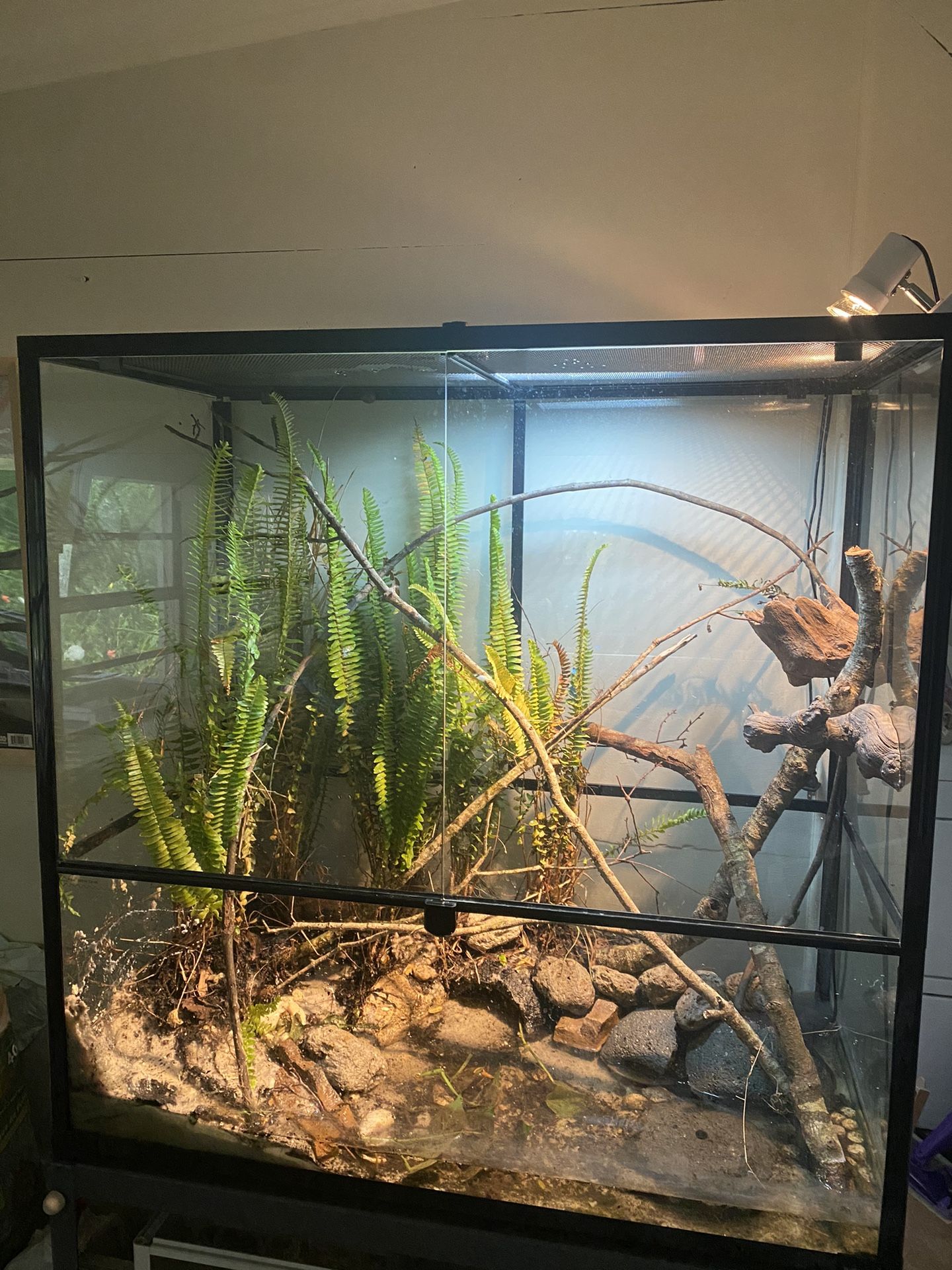36 x 36 x 18 Terrarium With 12” Watertight Base