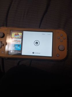Nintendo switch lite