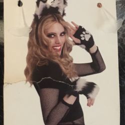 Kitty Cat 