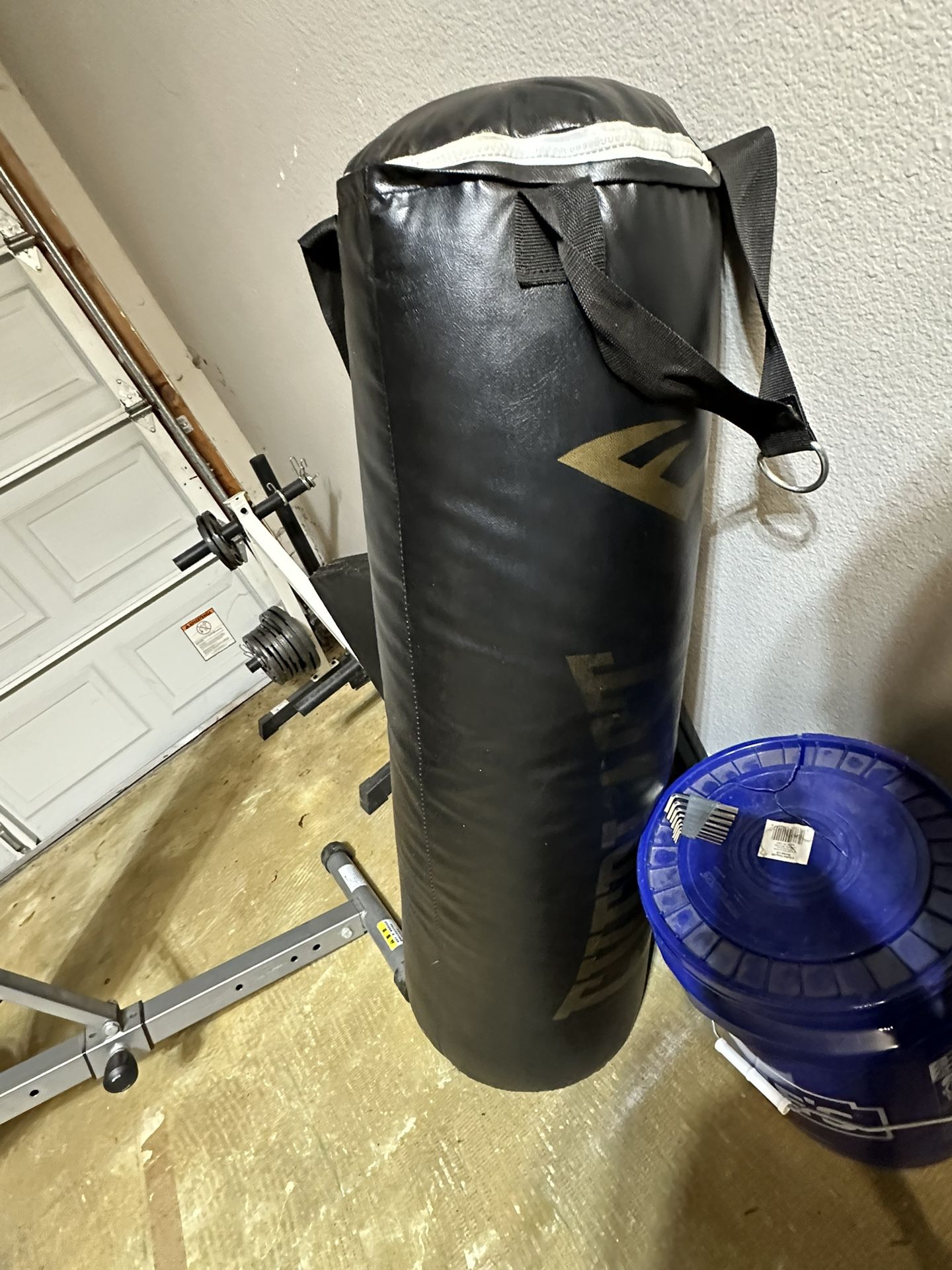Everlast Punching Bag (100 Lbs)