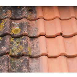 1-Roof Cleaning