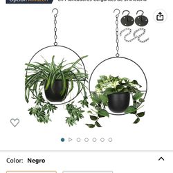 Plant Hangers / Platandores Colgando