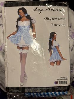 Dorothy Costume