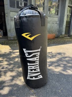 40 Lb Everlast Punching Bag