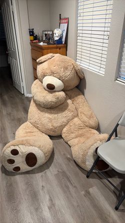 Big Teddy bear