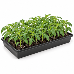 1020 Heavy Duty Seed Starting Trays 10x20 Propagation (Pack of 5)