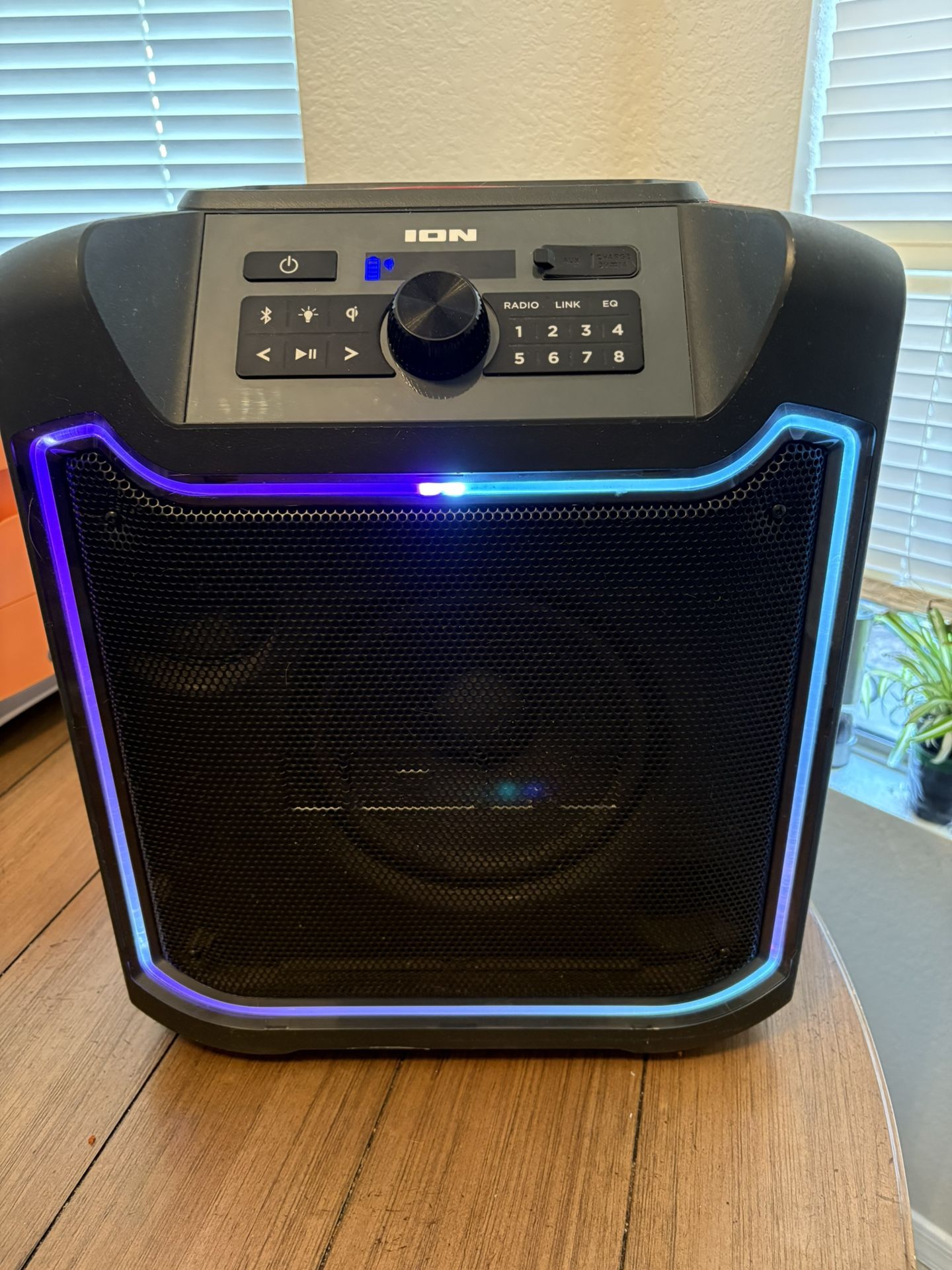 Ion Bluetooth Speaker
