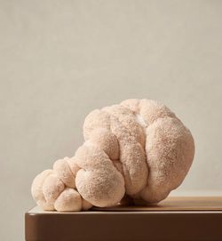 Fresh, Homegrown Mushrooms Available!