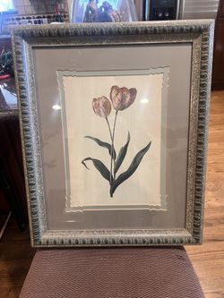 Beautiful Framed Tulip