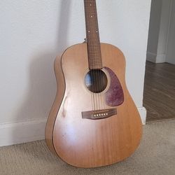 Sea Gull Acoustic Guitar 