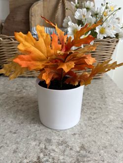 Faux Arrangement $5