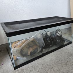 Reptile Terrarium Setup