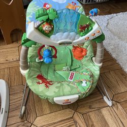 Fisher Price Baby Bouncer
