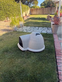 Sturdy House 4 The Pup