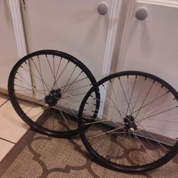 20" Bicycle  Wheels With Titanium Spoke