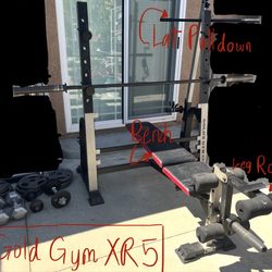 Gold Gym XR5 Olympic Weight Bench, Leg Raise, Lat Pulldown, & Weights