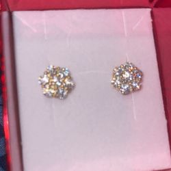 VVS Moisanite Earring  