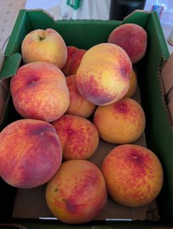 Fresh peaches