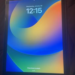 iPad 5th Generation 128 GB