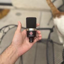 Neumann TLM 102 Microphone