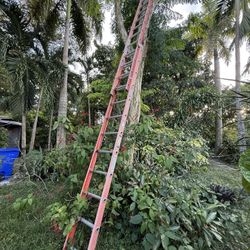 24 Feet Ladder Werner