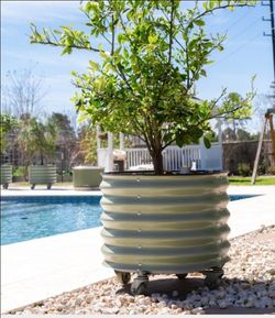 Vego Garden Self-Watering Rolling
Citrus Tree Planter