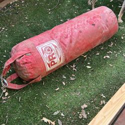 Pro Boxing Bag