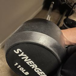 110 lb Straight Fixed Curl Bar 