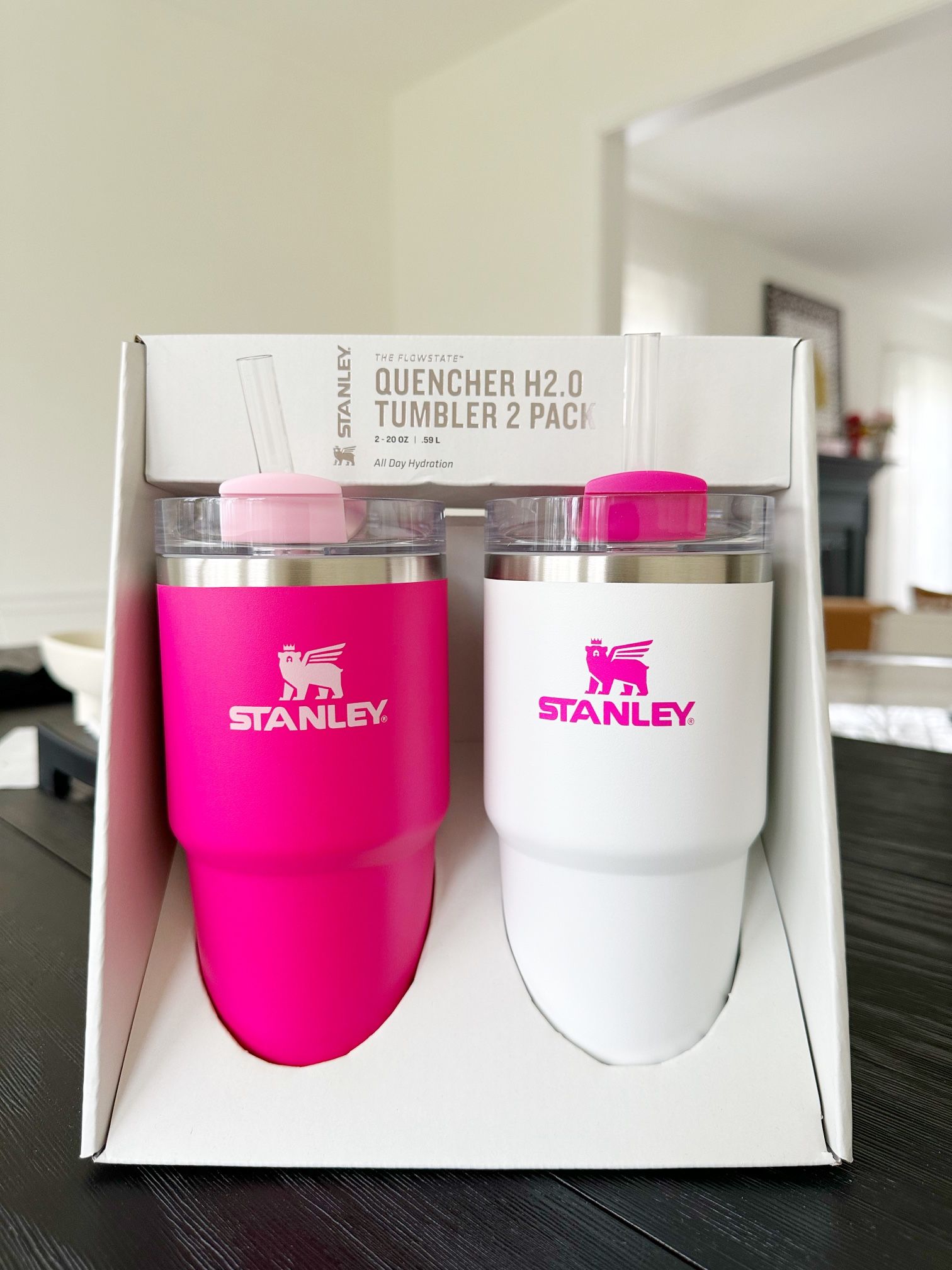 Stanley 20 oz Stainless Steel H2.0 Flowstate Quencher Tumbler - 2-Piece