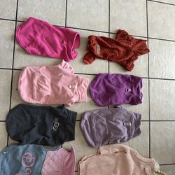  Dog Sweaters