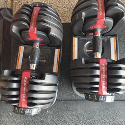 Bowflex Adjustable Dumbbells 