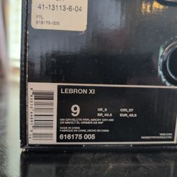 Lebron 11 "Terracotta Warrior"
