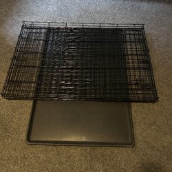 Large Kennel