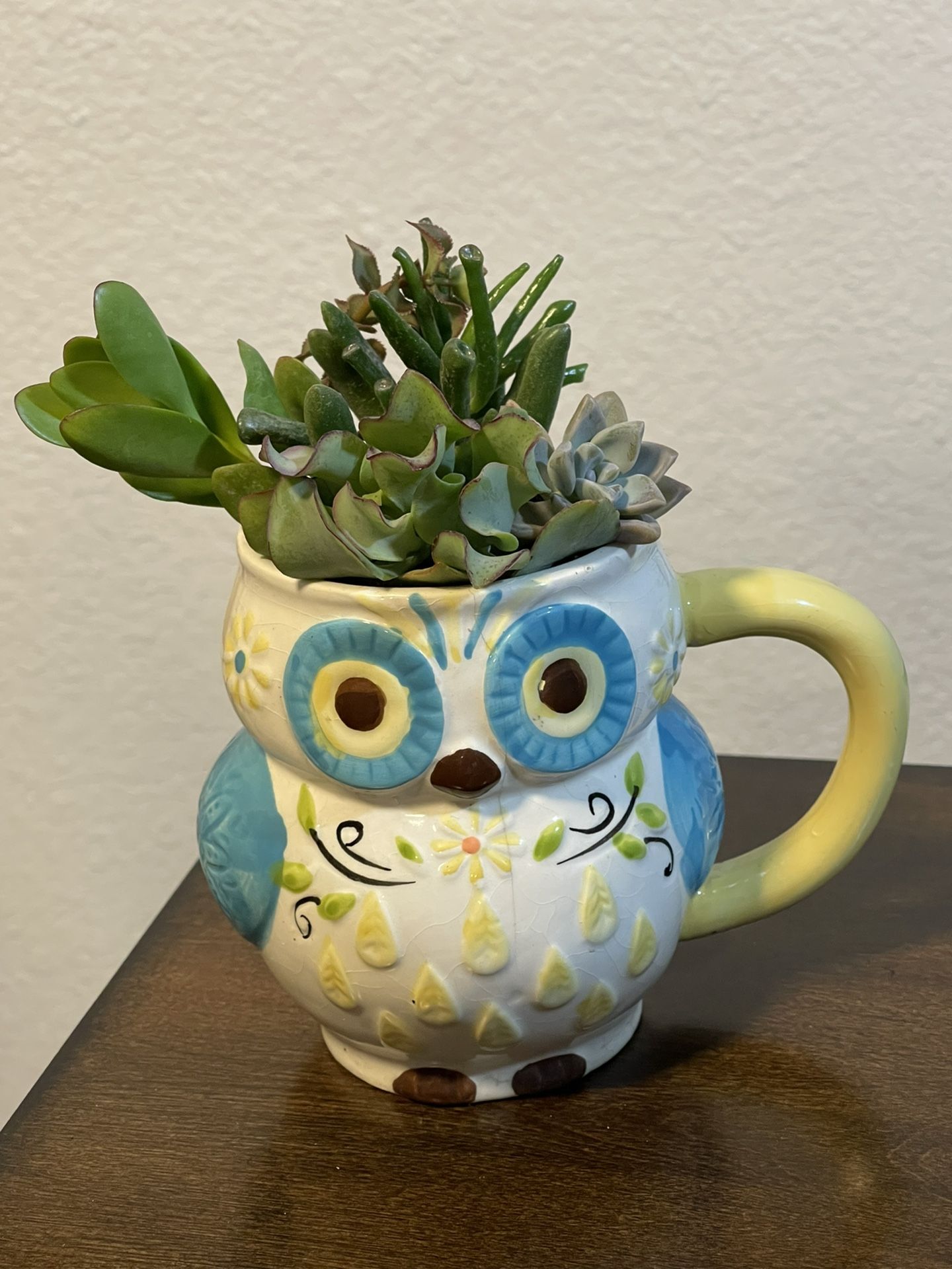 Succulent Arrangement