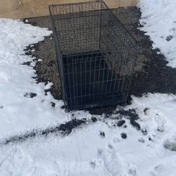 Dog Kennel