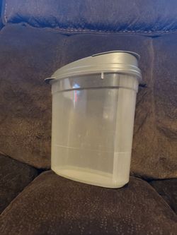 Storage Container with Gray Lid