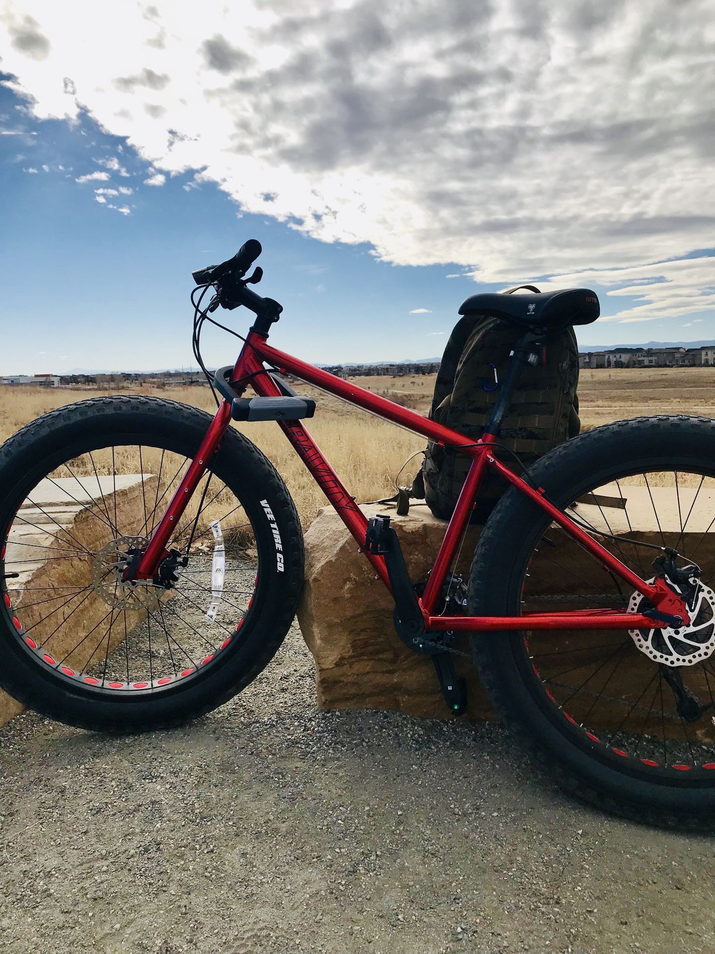 Gravity Fat Bike