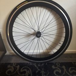 Fixie Wheel 