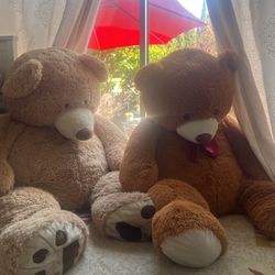 Both Teddy Bear