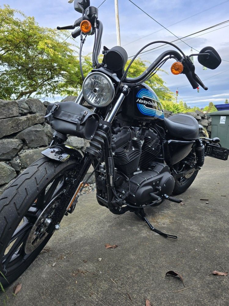 2019 HD Sportster XL1200