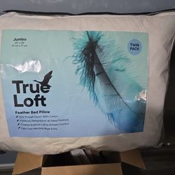 2 Pk Pillows