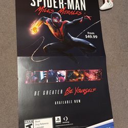 Playstation Spiderman Game Display