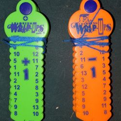 Learning Wrap-Ups Self-Correcting Tool, EUC