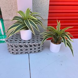 Home decor