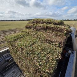 St Agustine Grass Pallets