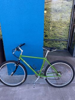 Vintage Diamondback Ascentix MTB (1988)