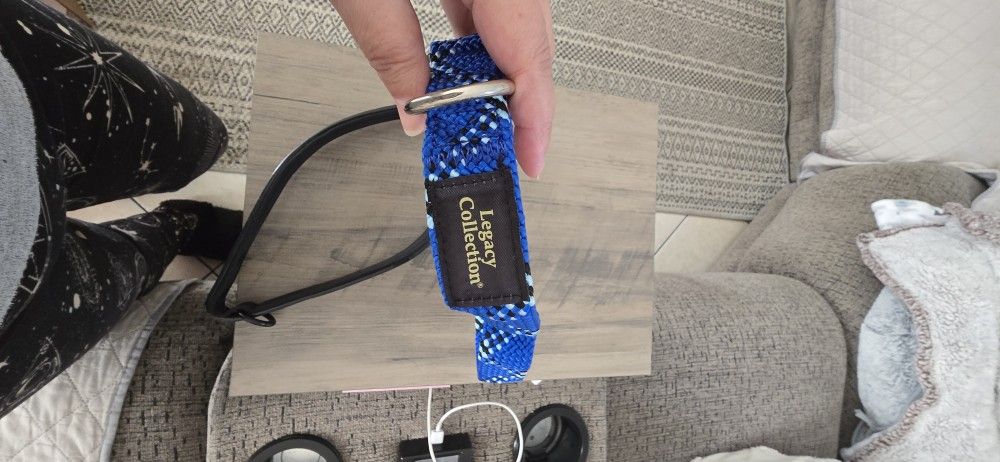 Large Dog Collars