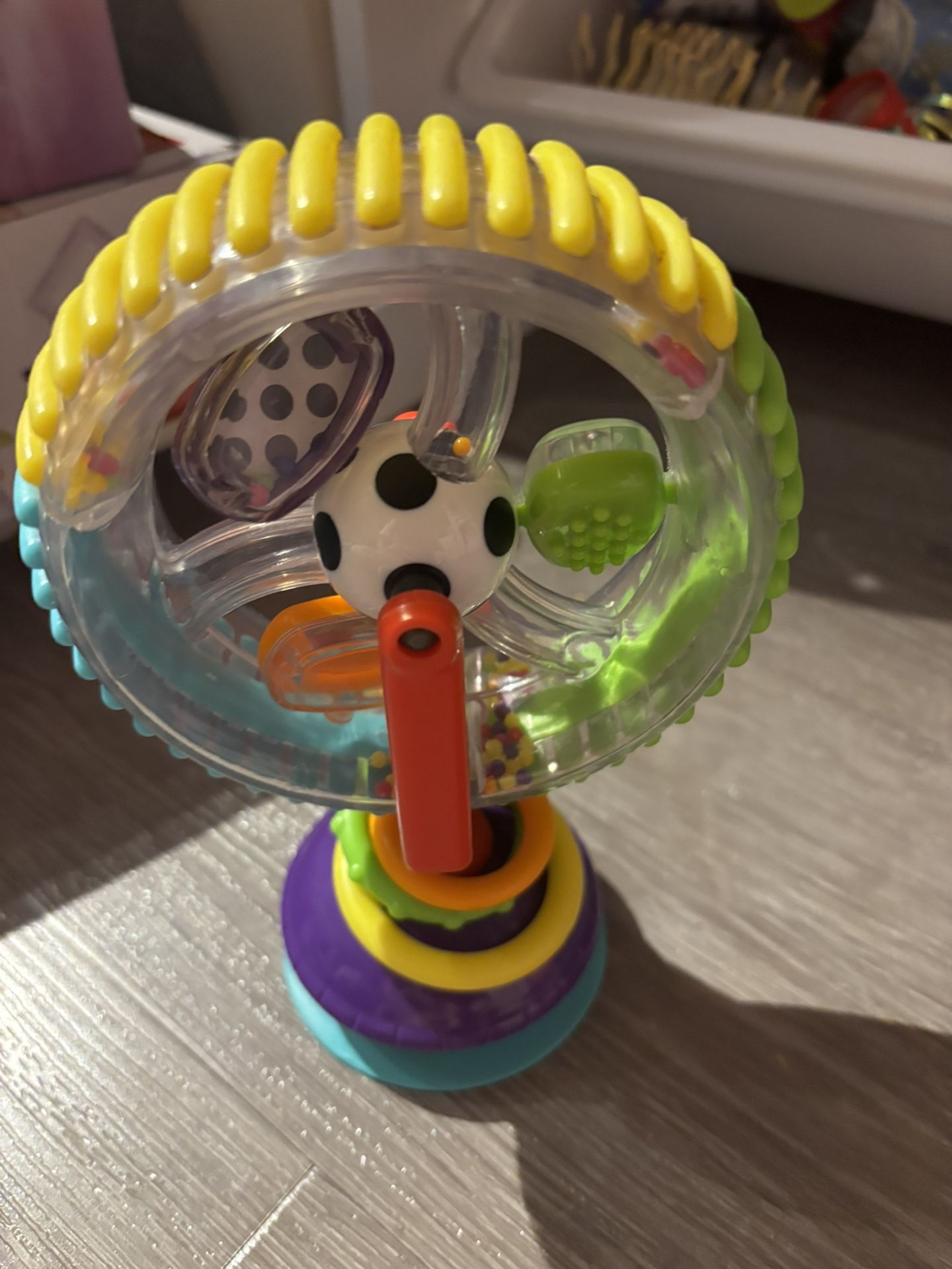 Baby Toy Sassy Wonder wheel