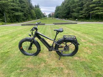 RadRover 6 plus  with low miles…